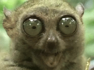 big eyes